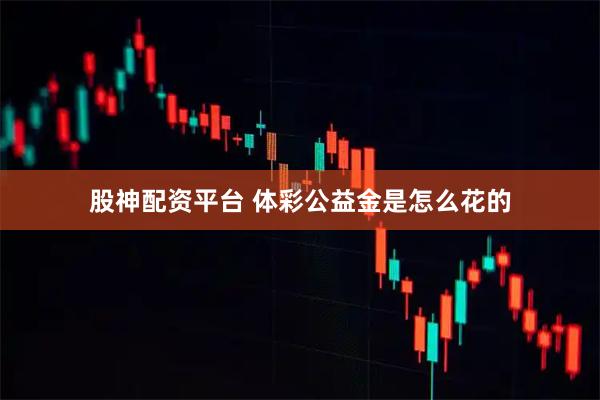 股神配资平台 体彩公益金是怎么花的