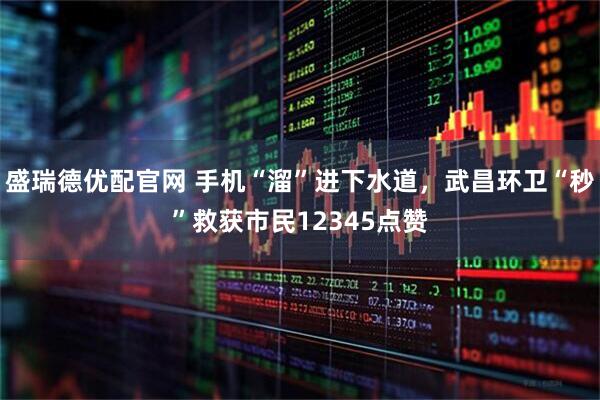盛瑞德优配官网 手机“溜”进下水道，武昌环卫“秒”救获市民12345点赞