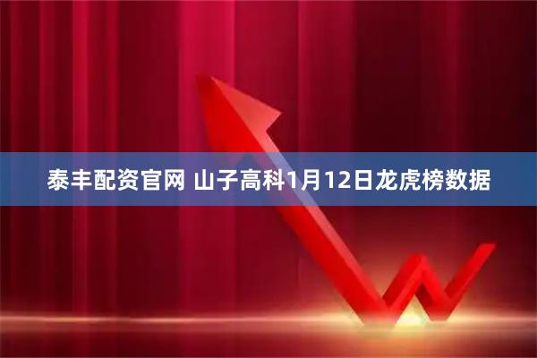 泰丰配资官网 山子高科1月12日龙虎榜数据