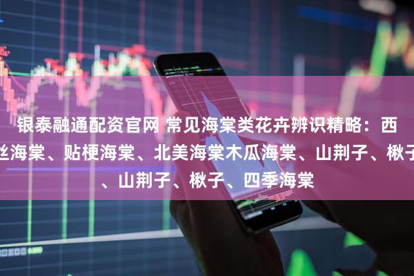 银泰融通配资官网 常见海棠类花卉辨识精略：西府海棠、垂丝海棠、贴梗海棠、北美海棠木瓜海棠、山荆子、楸子、四季海棠